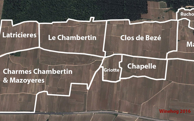 上海晚宴: Gevrey-Chambertin Grand Cru