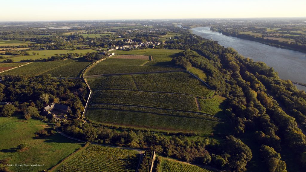 Nicolas Joly Clos de la Coulée de Serrant Tasting