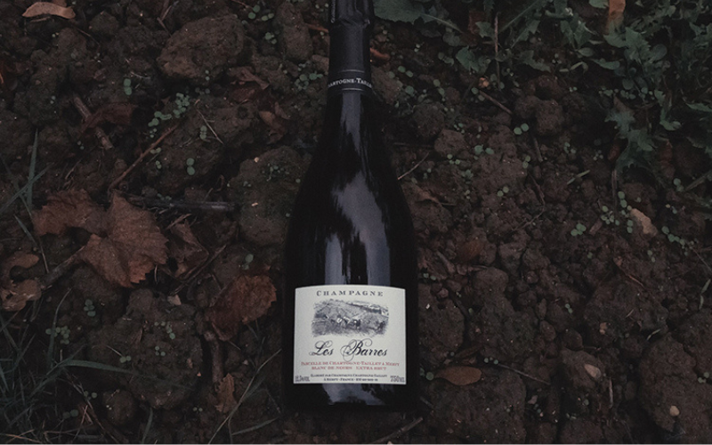 Chartogne-Taillet Deep Dive Dinner with Alexandre Chartogne