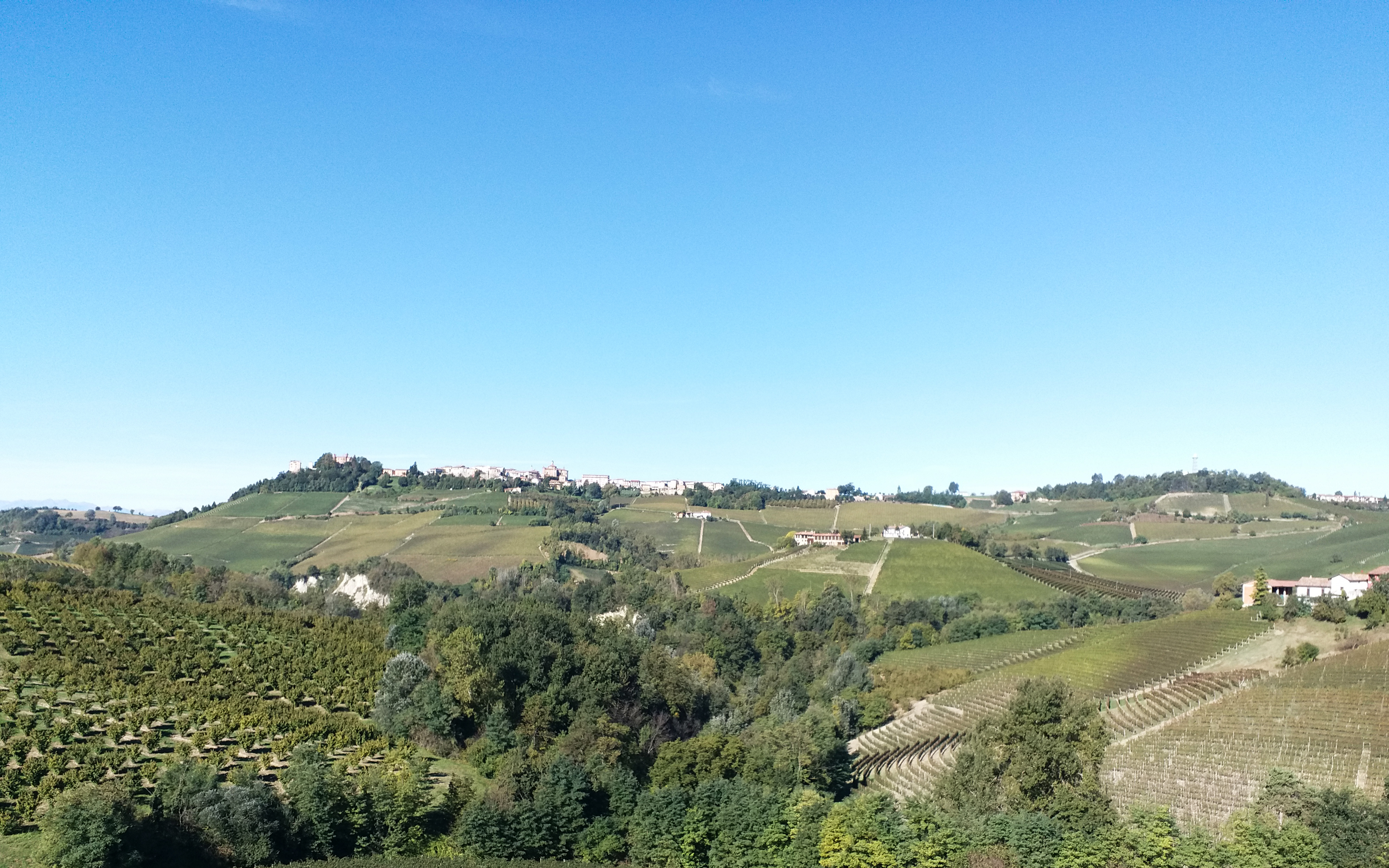 Being Moved By Barolo’s Innovators:  Paolo Scavino and Luciano Sandrone