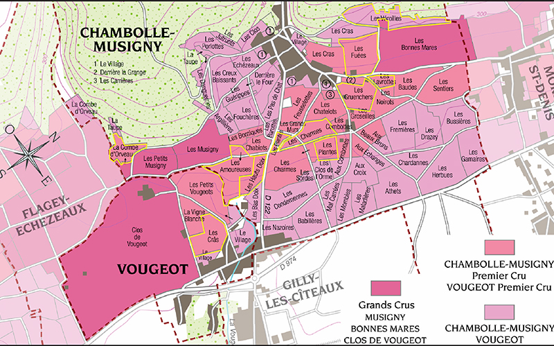 上海晚宴: Chambolle-Musigny 1er Cru