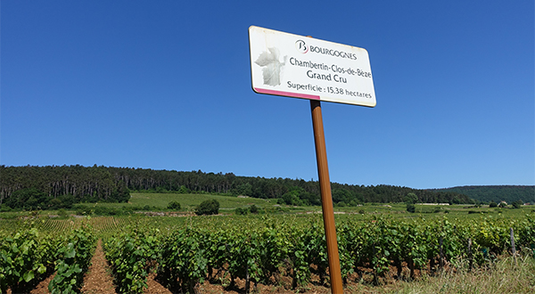 Gevrey-Chambertin vs. Vosne-Romanée 一级园晚宴 (中文讲解)