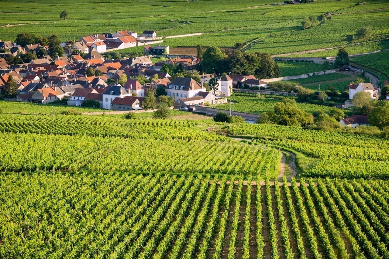 Burgundy 101: What’s in a Grand Cru?