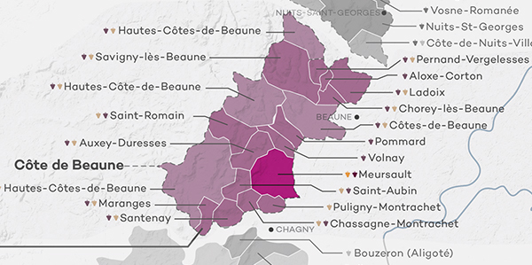 Tour of the Lieux-dits & 1er Crus of Meursault via the Best Producers