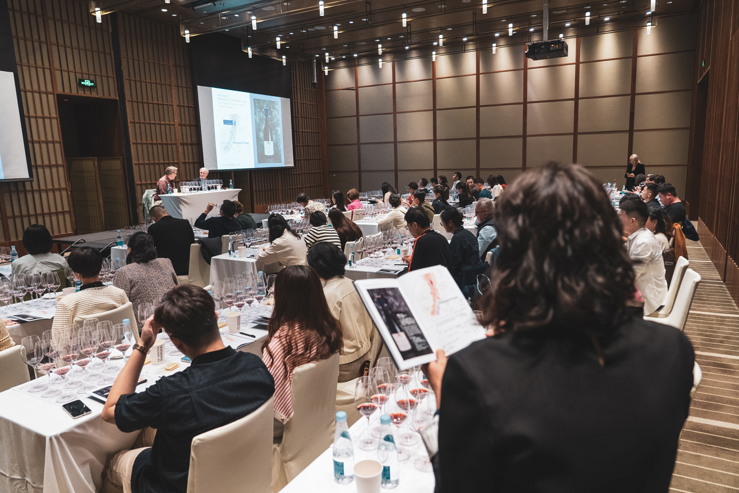 IN REVIEW: Appreicating the Often Overlooked 1er Crus of Nuits-St.-Georges