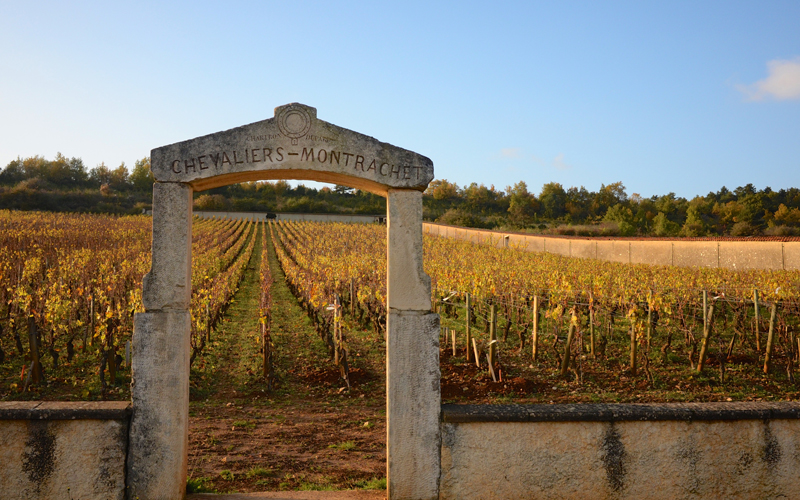 Domaine d’Auvenay Dinner