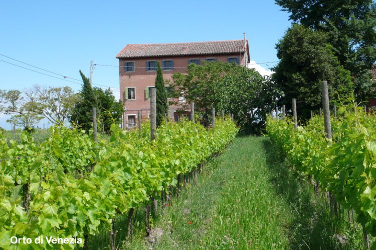 Shop Tasting: An Italian, a Swiss and a Frenchman walk into a bar...