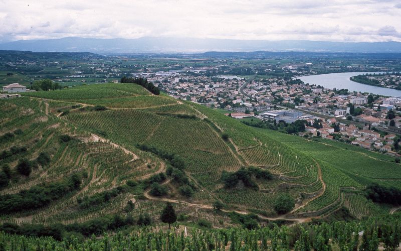 Join us for Paul Jaboulet Aîné and Domaine Georges Vernay new release tasting on Saturday 20th January 2018