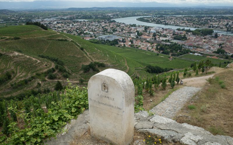 Join us for Paul Jaboulet Aîné and Domaine Georges Vernay new release tasting on Saturday 20th January 2018