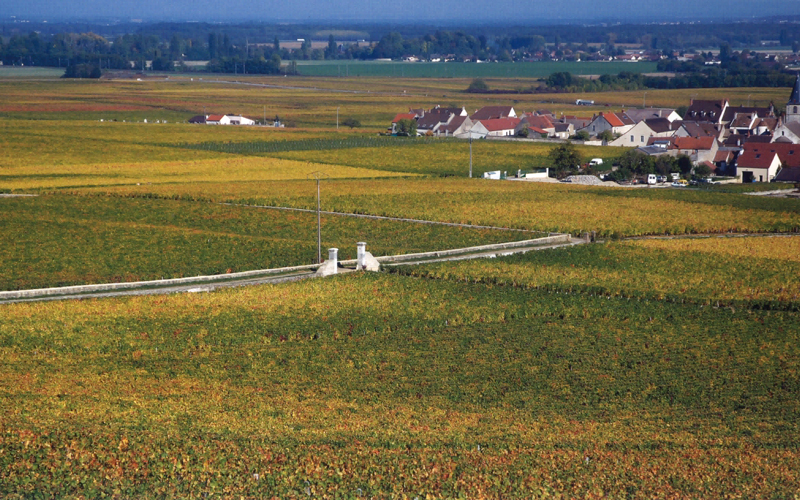 2019 BURGHOUND SYMPOSIUM BEIJING: Domaine de la Romanée-Conti La Tâche Grand Cru Vertical Dinner with special guest: Allen Meadows