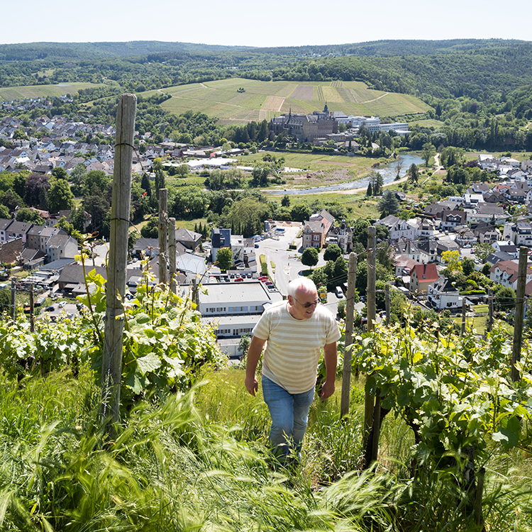 Weingut H.J. Kreuzberg