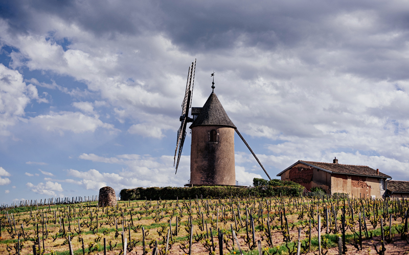 2019 BURGHOUND SYMPOSIUM 香港: 庄主大師班: Château du Moulin-à-Vent ‘Champ de cour’ 垂直品試 with special guest: Edouard Parinet