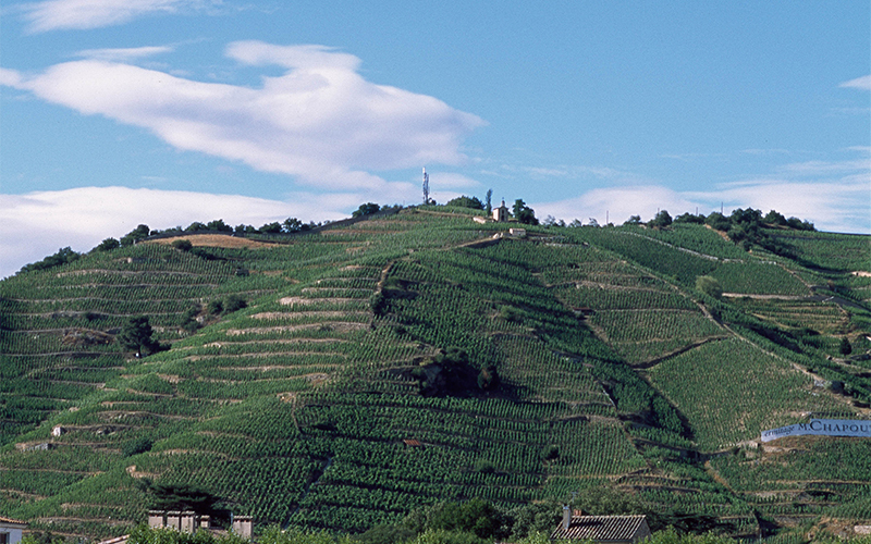Iconic Rhône Wines Dinner at Giando, with Linden Wilkie