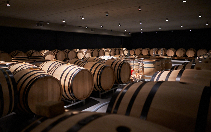 Tasting with Pierre-Vincent Girardin - A Rising Star in Burgundy