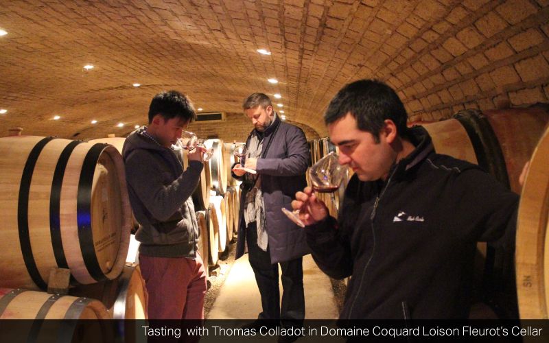 Domaine François Carillon and Domaine Coquard-Loison-Fleurot Winemaker Tasting on Thursday, 25 January 2018