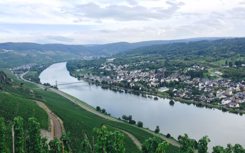 Tutored Mosel Riesling lunch, 10th Feb: 2016s from Carl von Schubert and Joh. Jos. Prüm
