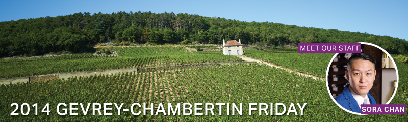 Fine Wine Friday: 2014 Gevrey-Chambertin Friday