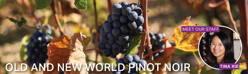 Fine Wine Friday: Old and New World Pinot Noir