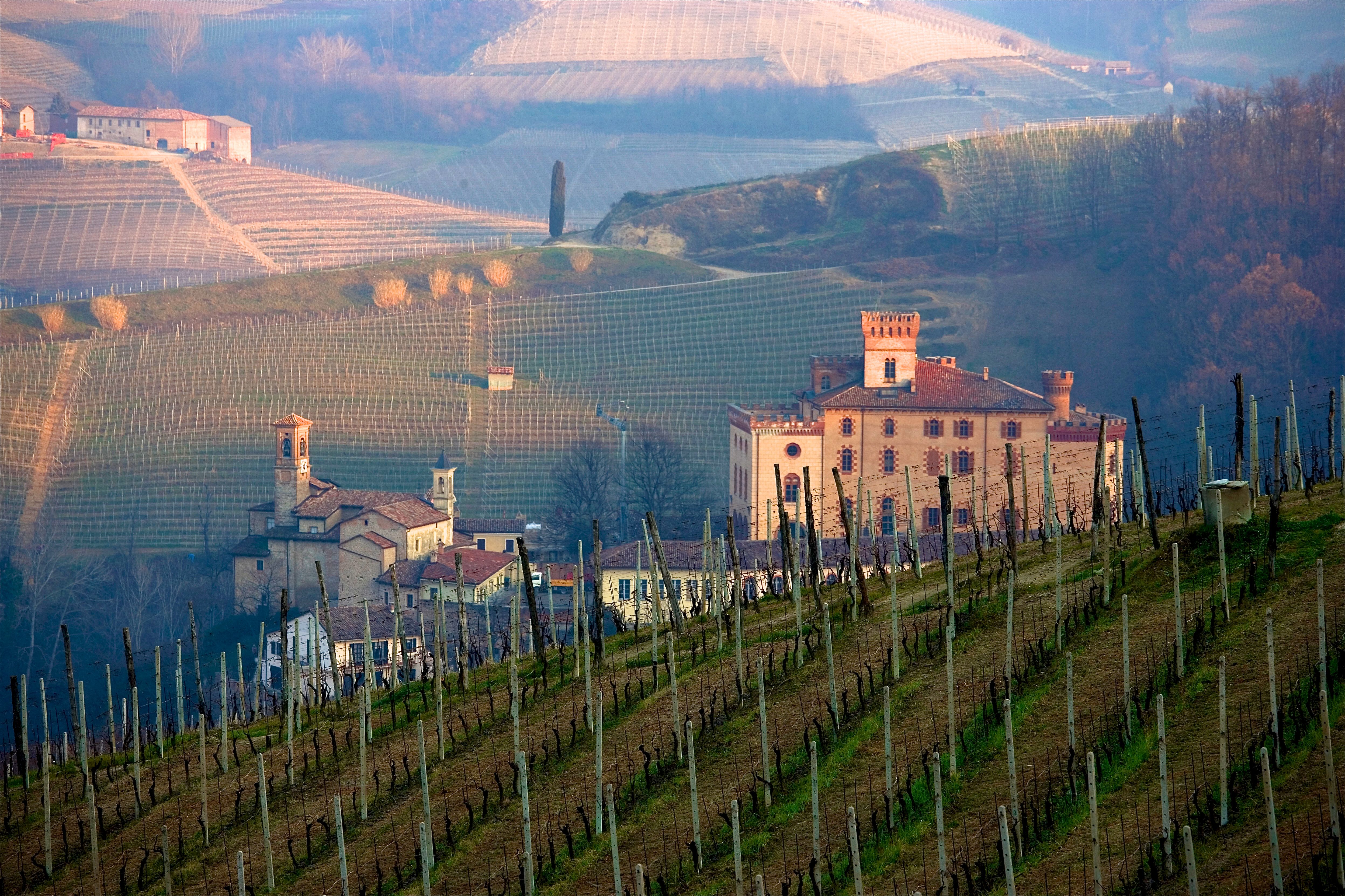 Single Table Barolo Classics Dinner