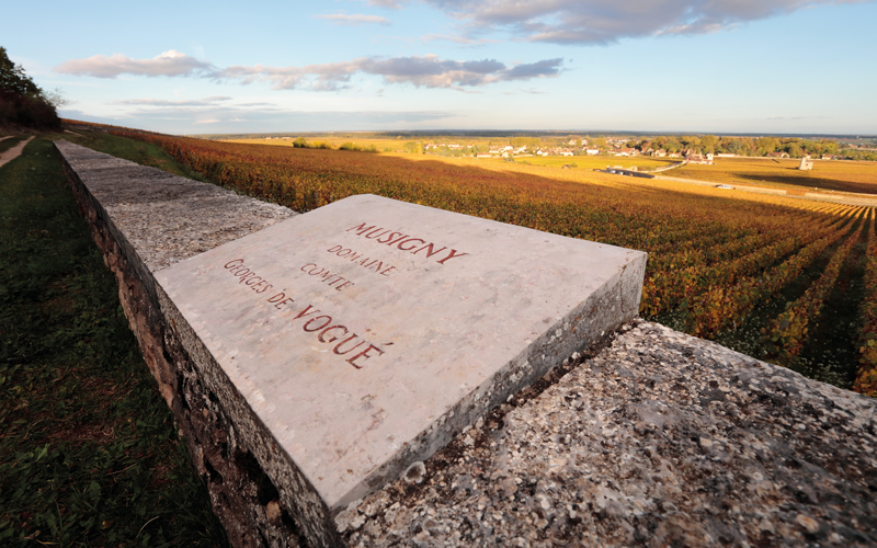 2019 BURGHOUND SYMPOSIUM HONG KONG: Domaine Comte Georges de Vogüé MUSIGNY Grand Cru VERTICAL DINNER with special guests: Jean-Luc Pépin and Allen Meadows