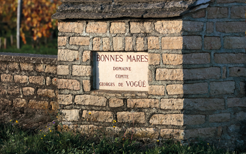 2019 BURGHOUND SYMPOSIUM HONG KONG: Masterclass Luncheon:  Domaine Comte Georges de Vogüé, 2014 & 2002 with special guests: Jean-Luc Pépin and Allen Meadows