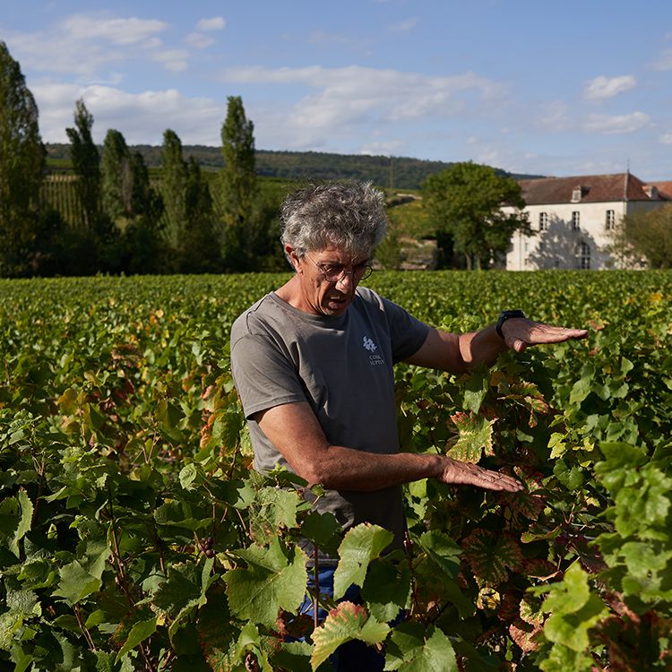 Domaine Christian Clerget