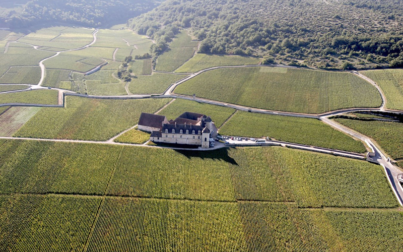 7月13日, 深圳   Clos de Vougeot 梧玖园 2009 年份晚宴 (中文讲解)