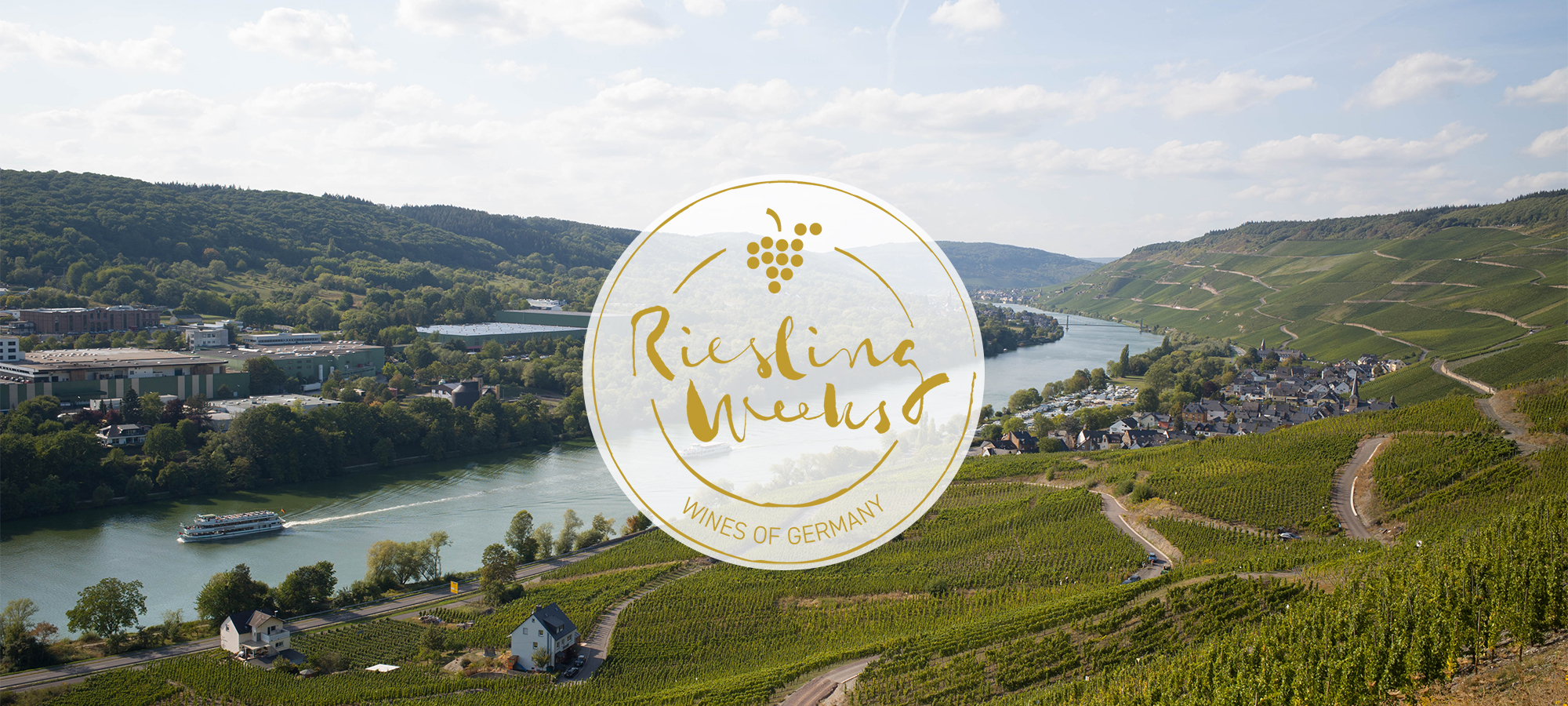 The Fine Wine Experience