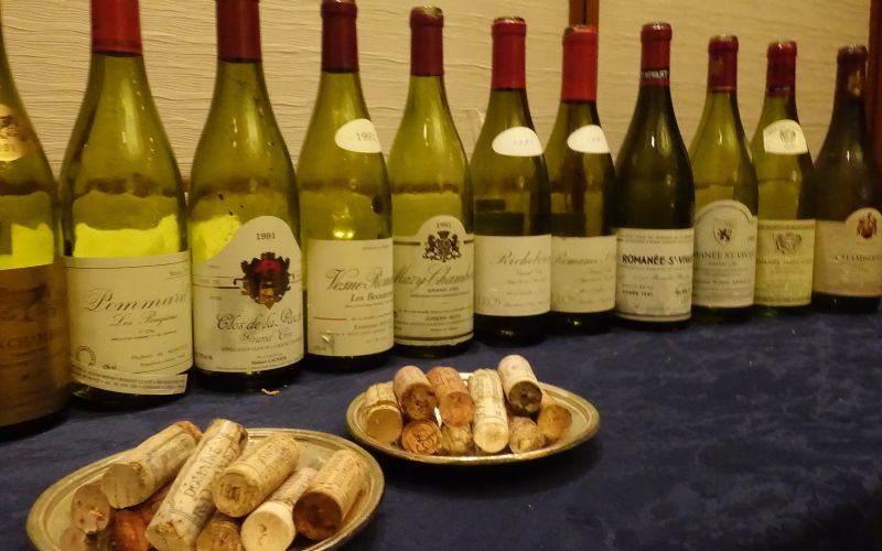 1991 Burgundy – 25 Years On