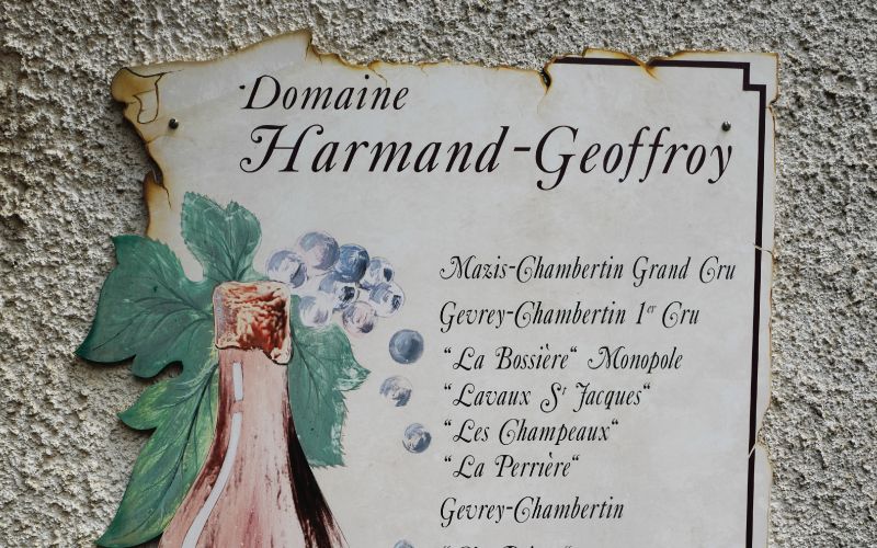 MasterClass 1: Domaine Harmand-Geoffroy in Mazis-Chambertin Masterclass